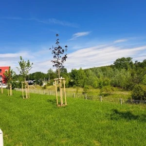 Zelená proměna v Hostivicích: průmyslový areál, který ožil