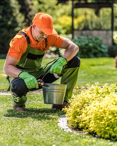 Landscaping Landscaping